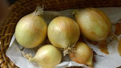 Mit Salz und Ziegelsteinen